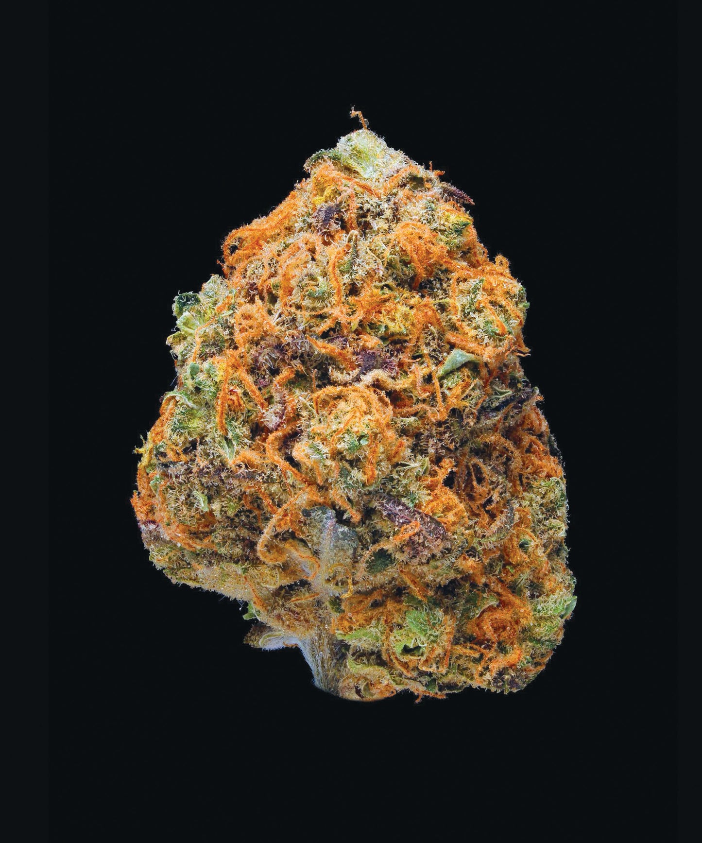 Green: A Field Guide to Marijuana
