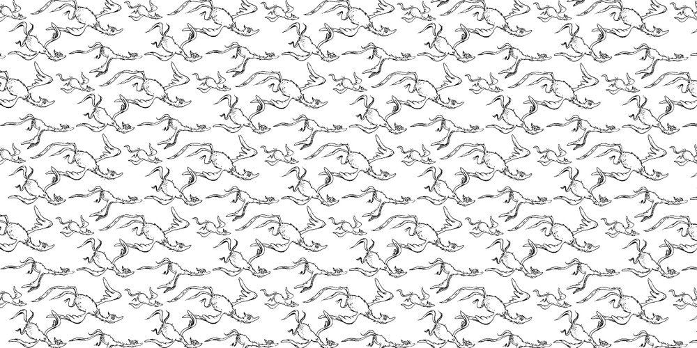 The Dr. Seuss Coloring Book