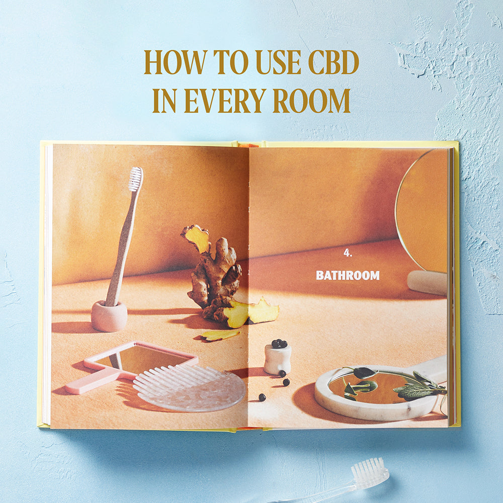 Merry Jane’s The CBD Solution: Living