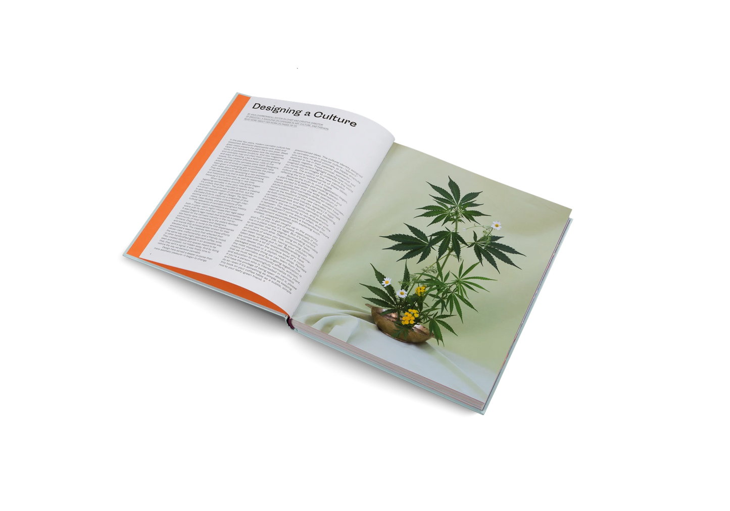 High on Design THE NEW CANNABIS CULTURE